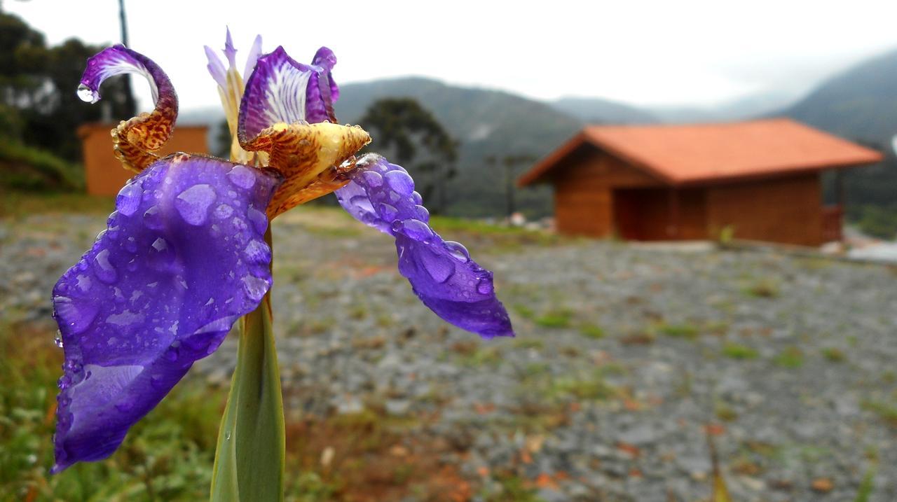 Pousada Bela Vista ウルビシ エクステリア 写真
